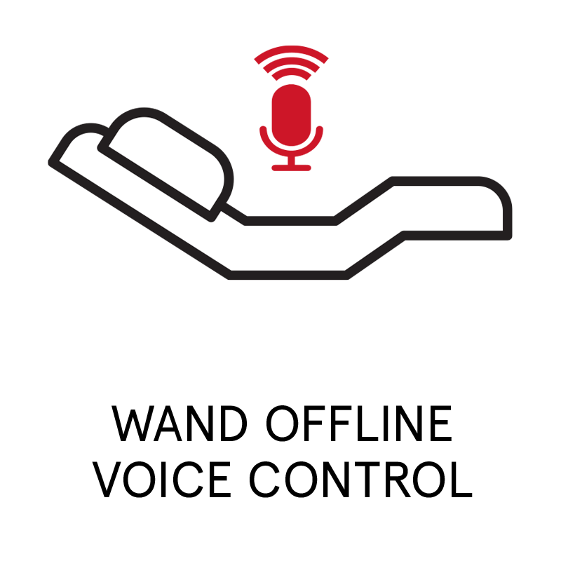 Wand offline voice control